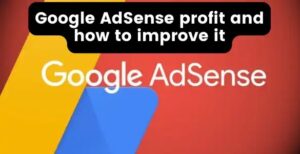 Google AdSense profit