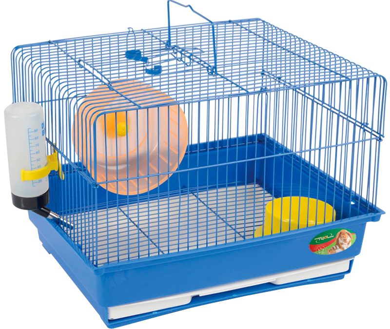 تسوق منتجات متجر حيوانات عبر الإنترنت بسهولة وأمان مع SaifPets