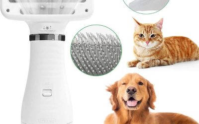 saifpets: أرخص مكان لشراء مستلزمات القطط على الإنترنت