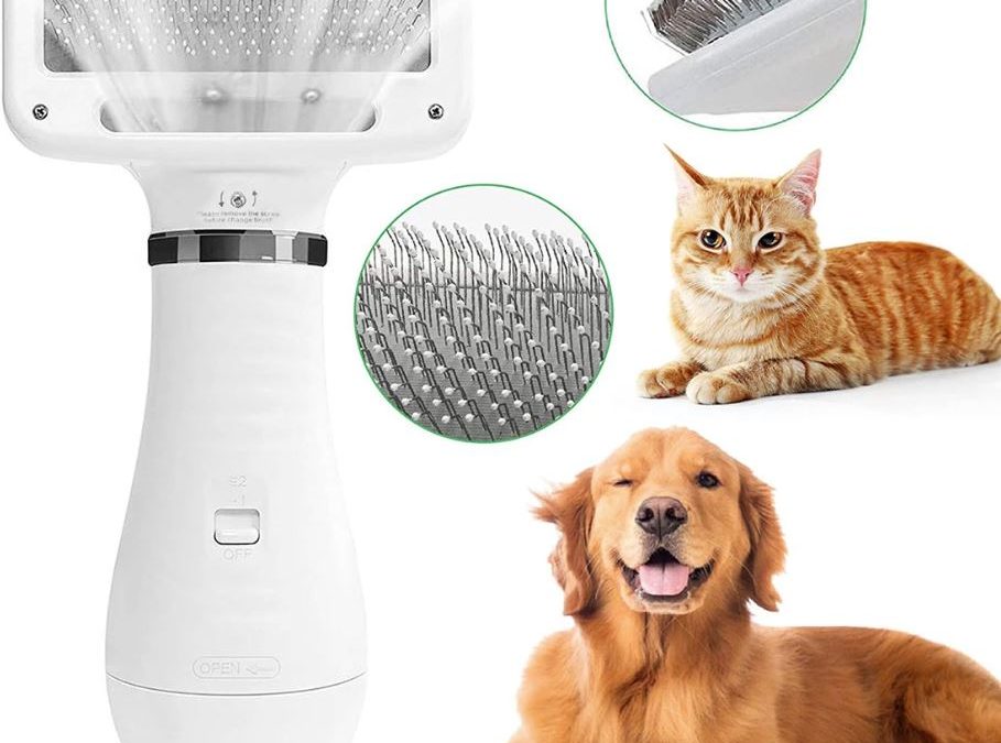 saifpets: أرخص مكان لشراء مستلزمات القطط على الإنترنت
