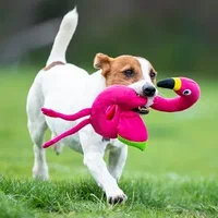 متجر SaifPets: المكان المثالي لشراء مستلزمات حيواناتك المفضلة